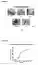 Fig. 04 - Nucleic acid ligands and uses therefor
