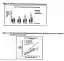 Fig. 03 - Composition comprising a gastrin/CCK receptor ligand and an EGF receptor ligand
