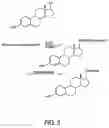 Fig. 04 - Biologically active peptides comprising Isoleucyl-valyl-threonyl-asparaginyl-threonyl-threonine (IVTNTT)