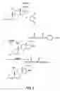 Fig. 06 - Biologically active peptides comprising Isoleucyl-valyl-threonyl-asparaginyl-threonyl-threonine (IVTNTT)