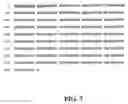 Fig. 08 - Beta-secretase inhibitors and methods of use
