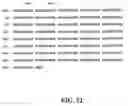 Fig. 13 - Beta-secretase inhibitors and methods of use
