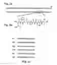 Fig. 03 - Peptides directed for diagnosis and treatment of amyloid-associated disease