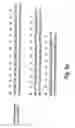 Fig. 07 - Peptides directed for diagnosis and treatment of amyloid-associated disease