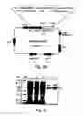 Fig. 08 - Peptides directed for diagnosis and treatment of amyloid-associated disease