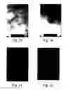 Fig. 22 - Peptides directed for diagnosis and treatment of amyloid-associated disease