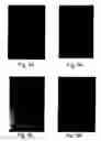 Fig. 23 - Peptides directed for diagnosis and treatment of amyloid-associated disease