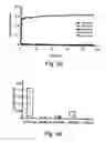 Fig. 25 - Peptides directed for diagnosis and treatment of amyloid-associated disease
