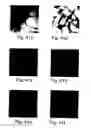 Fig. 26 - Peptides directed for diagnosis and treatment of amyloid-associated disease