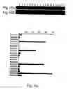 Fig. 27 - Peptides directed for diagnosis and treatment of amyloid-associated disease