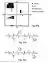 Fig. 28 - Peptides directed for diagnosis and treatment of amyloid-associated disease