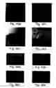 Fig. 29 - Peptides directed for diagnosis and treatment of amyloid-associated disease