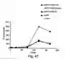 Fig. 31 - Peptides directed for diagnosis and treatment of amyloid-associated disease