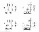 Fig. 40 - Peptides directed for diagnosis and treatment of amyloid-associated disease