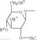 Fig. 41 - Dicarboxylic acid ester derivatives of ginsenoside, pharmaceutical preparations containing the same, and preparation thereof