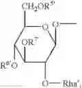 Fig. 55 - Dicarboxylic acid ester derivatives of ginsenoside, pharmaceutical preparations containing the same, and preparation thereof