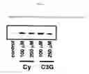 Fig. 02 - Adiponectin expression promoter