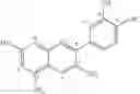 Fig. 04 - Adiponectin expression promoter