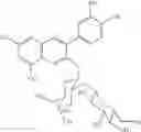 Fig. 07 - Adiponectin expression promoter