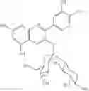 Fig. 08 - Adiponectin expression promoter