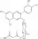 Fig. 10 - Adiponectin expression promoter
