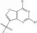 Fig. 14 - Hepatitis C therapies