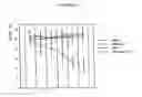 Fig. 05 - Inducible plasmid vector encoding TGF-β and use thereof