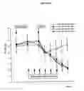 Fig. 09 - Inducible plasmid vector encoding TGF-β and use thereof