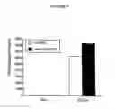 Fig. 10 - Inducible plasmid vector encoding TGF-β and use thereof
