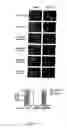 Fig. 05 - Method for expressing inducible rna [in cells, nucleic acid molecules therefor and cells transformed by said molecules