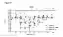 Fig. 43 - Methods and compositions for the treatment of eye disorders with increased intraocular pressure