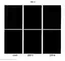 Fig. 06 - Transcription factor RNA interference reagents and methods of use thereof