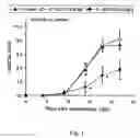 Fig. 02 - Antiinflammatory agent, agent for preventing/ameliorating allergic diseases and functional food