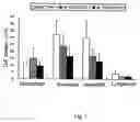 Fig. 06 - Antiinflammatory agent, agent for preventing/ameliorating allergic diseases and functional food