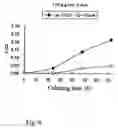 Fig. 07 - Antiinflammatory agent, agent for preventing/ameliorating allergic diseases and functional food