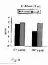 Fig. 10 - Antiinflammatory agent, agent for preventing/ameliorating allergic diseases and functional food
