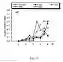 Fig. 12 - Antiinflammatory agent, agent for preventing/ameliorating allergic diseases and functional food