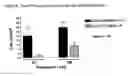 Fig. 04 - Prokineticin 1 receptor antagonists