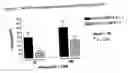Fig. 05 - Prokineticin 1 receptor antagonists