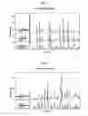 Fig. 02 - Process for preparing salts of 4-[[5-[(cyclopropylamino)carbonyl]-2-methylphenyl]amino]-5-methyl-N-propylpyrrolo[2,1-f][1,2,4]triazine-6-carboxamide and novel stable forms produced therein