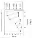 Fig. 04 - Inhibitors of macrophage migration inhibitory factor and methods for identifying the same