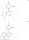Fig. 06 - Compounds