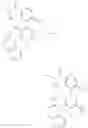Fig. 232 - Compounds