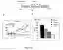 Fig. 03 - Novel compounds for treatment of cancer and disorders associated with angiogenesis function
