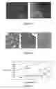 Fig. 05 - Novel compounds for treatment of cancer and disorders associated with angiogenesis function