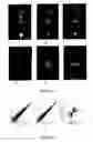 Fig. 06 - Novel compounds for treatment of cancer and disorders associated with angiogenesis function