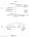 Fig. 07 - Novel compounds for treatment of cancer and disorders associated with angiogenesis function