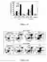 Fig. 12 - Novel compounds for treatment of cancer and disorders associated with angiogenesis function
