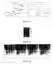 Fig. 16 - Novel compounds for treatment of cancer and disorders associated with angiogenesis function