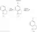 Fig. 08 - Synthesis of 5 substituted 7-azaindoles and 7-azaindolines